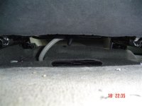 picture 174.jpg