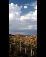 img_0321.3.jpg