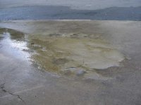 obx3.jpg