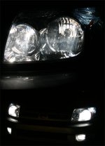 lights2.jpg