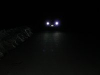 hid's 008.jpg