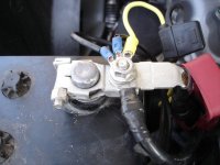 hid's 013.jpg