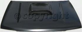 hood scoop.jpg