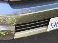 bugs.jpg