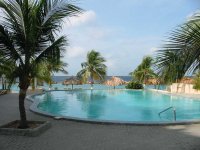 curacao poolside wallpaper.jpg