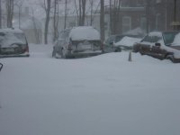 blizzard 2005 023.jpg