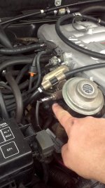 2013-05-09_12-24-33_918.jpg