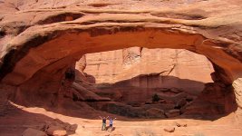 IMG_1537.jpg