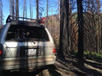 IMG_2779.jpg