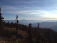 IMG_2788.jpg