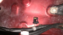 Plug 1.jpg
