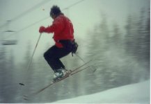 shredding!.jpg