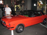 mustang1.jpg