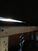 shelf.jpeg