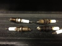 4 plugs.jpg