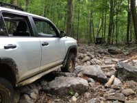 Good shot of rocks on Cobra at Cove.jpg