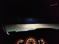 tree line hid.jpg tree line hid.jpg