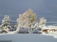 FirstSnow.JPG