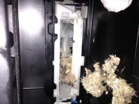 cabin air filter.jpeg