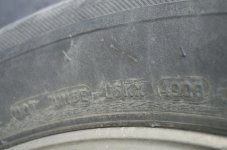 DSC_0238.jpg