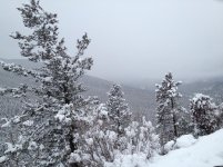 IMG_2100b.jpg