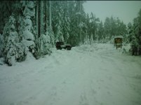 IMG_20121208_103236.jpg