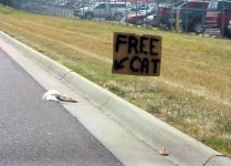 pet[1].jpg