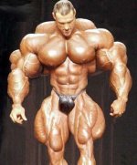 muscleMan-s397x477-45962.jpg