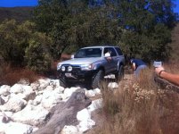 IMG_4397[1].jpg