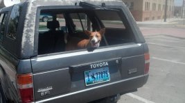 IMG_20130510_125215_240.jpg