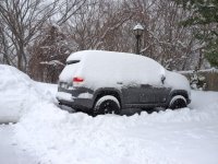 Parking lot 4Runner.jpg