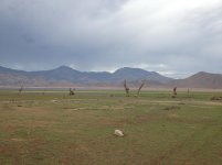 IMG_0765.jpg