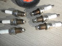 DSCN3105.jpg