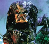 predator-3.jpg