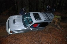DSC_5481.jpg