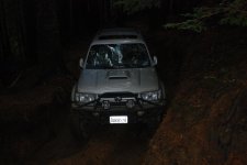 DSC_5517.jpg