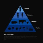 foodchain2.jpg
