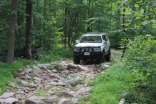 IMG_2428.jpg