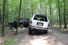 IMG_2424.jpg