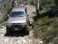 Gold Lake Run june 078.jpg