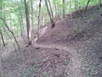 Avontrails3.jpg