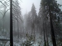photo (11).jpg