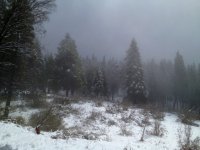 photo (13).JPG