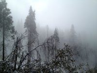 photo (12).JPG