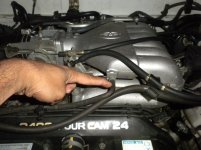 DSCN3157.jpg