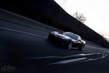vette.jpg