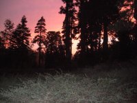 DSCN0054.jpg