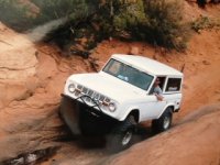 Bronco1.jpg