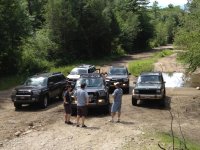 IMG_1131.jpg