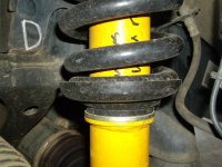 Driver Bottom.jpg